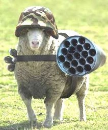 wellarmedsheepbf226.jpg