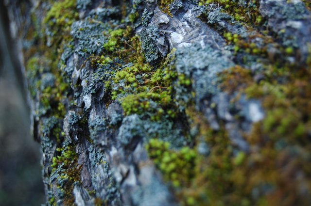 DSC_0020da8c8.jpg