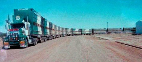 Longest-Road-Train-393dd6.jpg