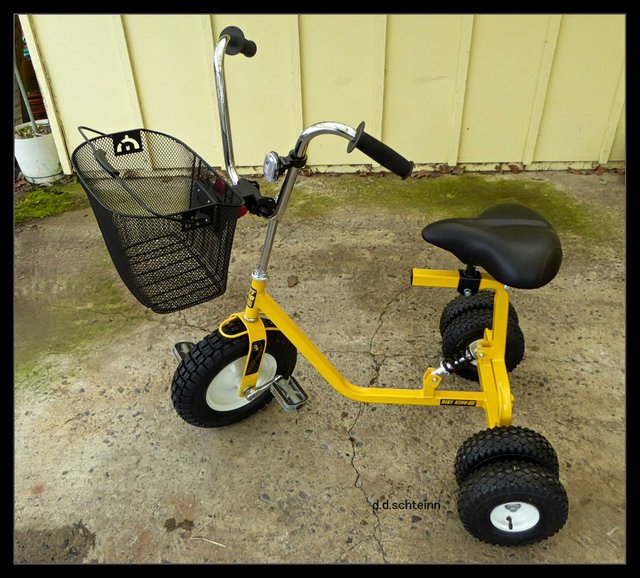 dirt king adult tricycle