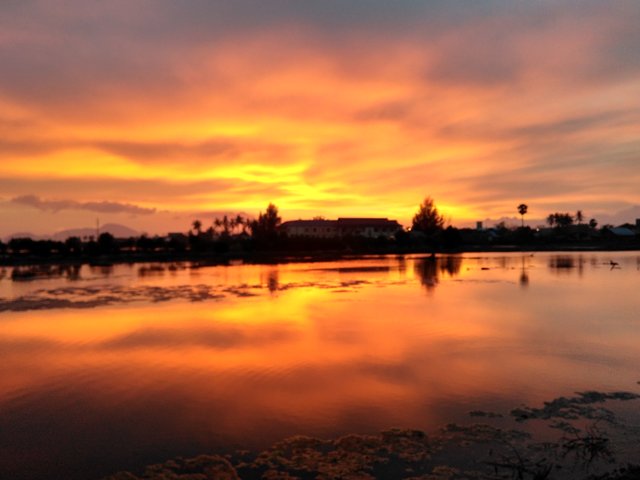 IMG_20170303_185829_HDR6556c.jpg