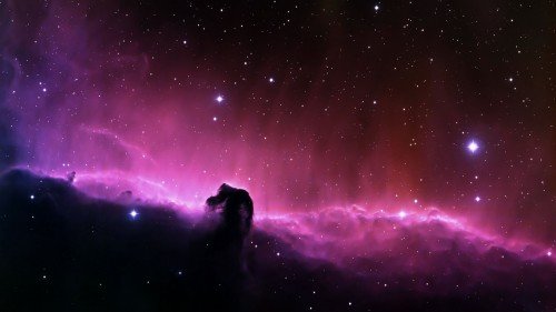 horsehead-nebula-dark-nebula-constellation-orion-87646e2585.md.jpg