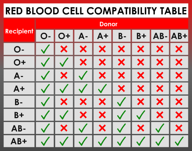 What Is Your Blood Group Steemit