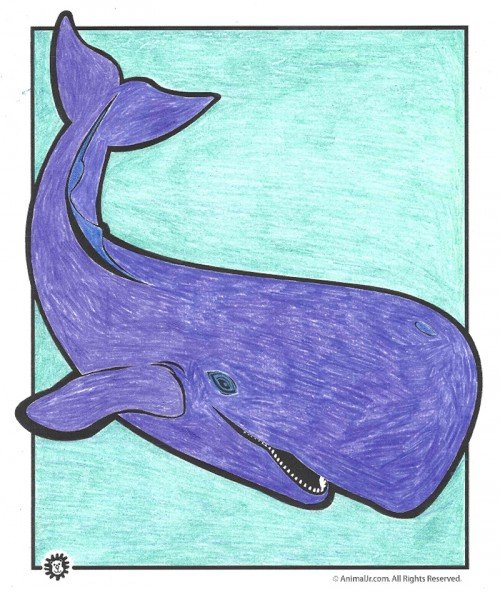 purplewhale-crop-r1aa603.md.jpg