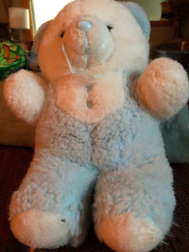 My Teddybear from Childhood