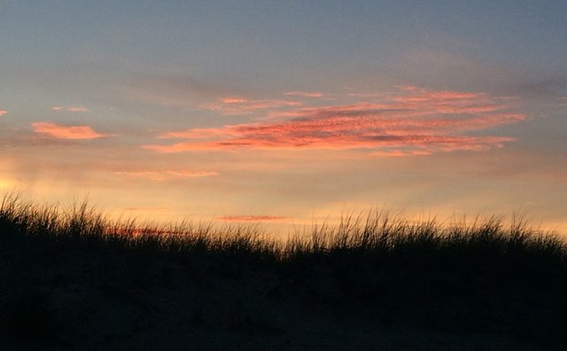 Race Point Beach, Provincetown, MA - July 2019