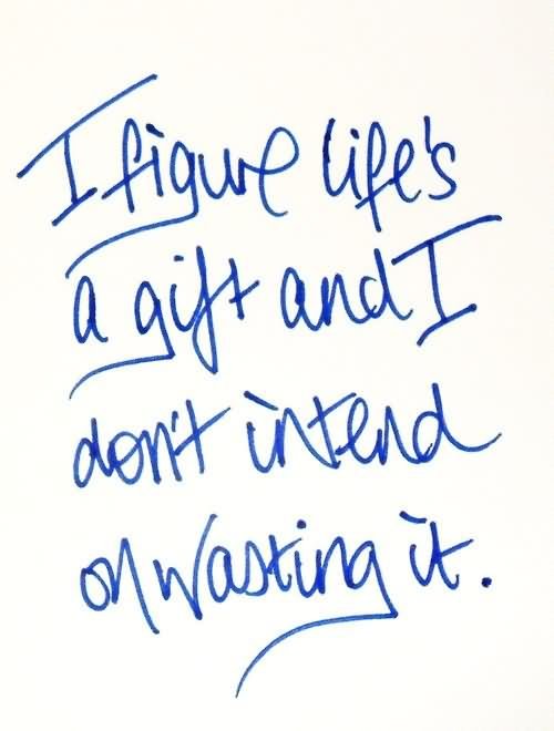 I Figure Life's A Gift And I Don't Intend On Wasting It