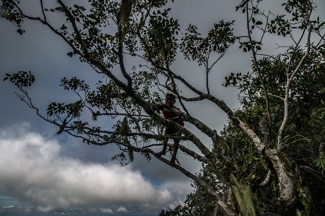 Mundo Perdido Lost World mountain East Timor