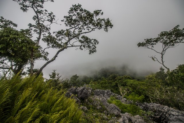 Mundo Perdido Lost World mountain East Timor