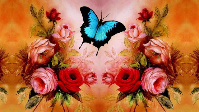 Full HD Roses Wallpapers (5) photo