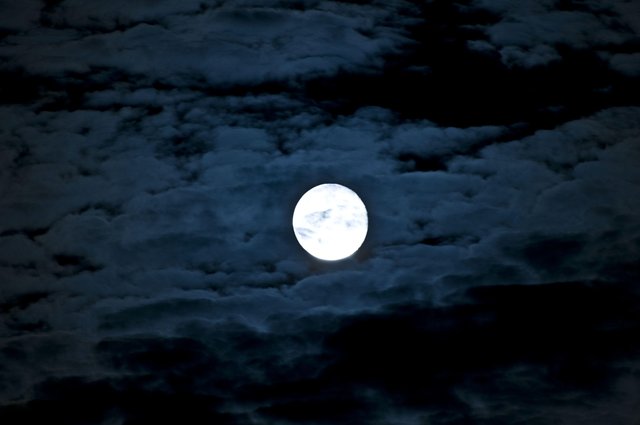 Full Moon Photography (14) photo