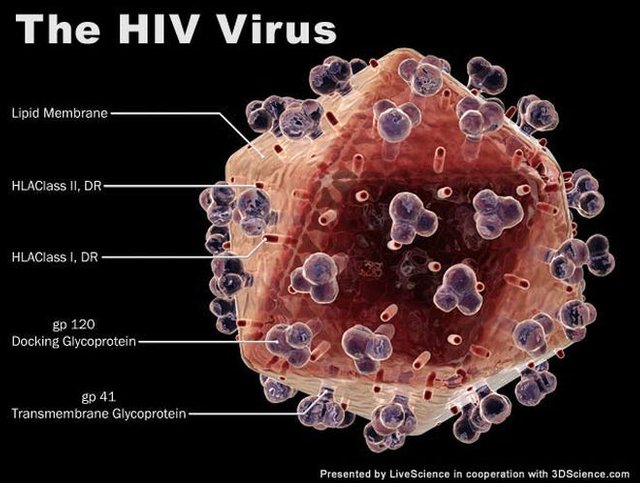 angeblicher hiv_virus