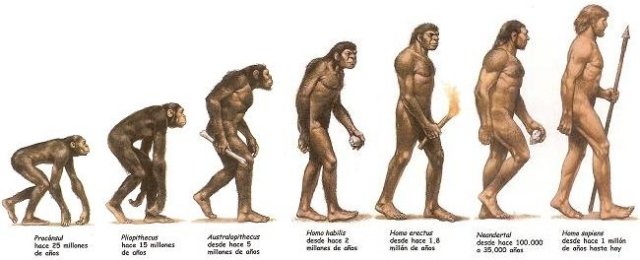 evolution of man with names
