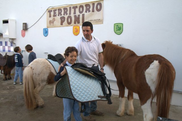 Resultado de imagen para niÃ±os en el hipodromo