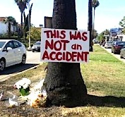 Protest sign at the site of Michael Hastings' death
