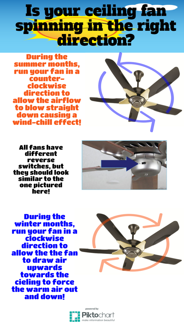Your Ceiling Fan Spin In The Summer, What Direction Should Ceiling Fans Go In The Summertime