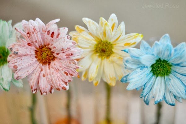 How Do Flowers “Drink” Water? Science Experiment For Toddlers 