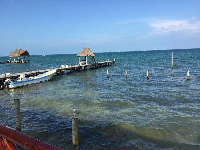 Vista al Mar con Gaviota incluida.