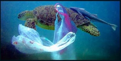 Turtle Caught in Plastic by Undercover Surrealist