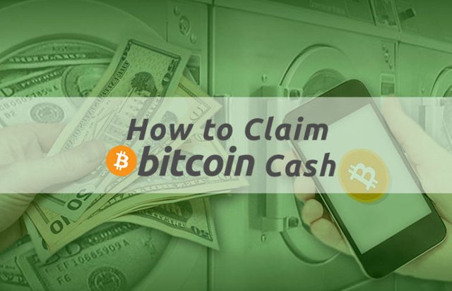 5 Simple Steps To Retroactively Claim Bitcoin Cash From A Paper - 