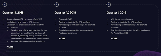 W12 ICO