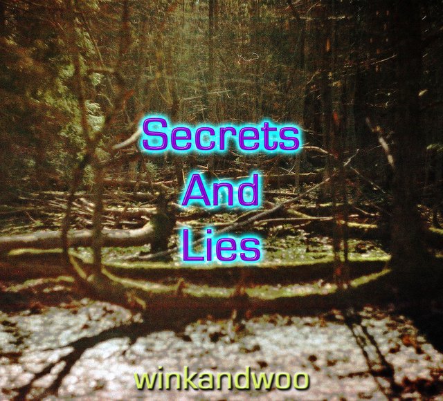 Secrets and Lies by winkandwoo