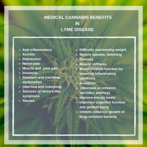 benefits of medical cannabis for lyme disease