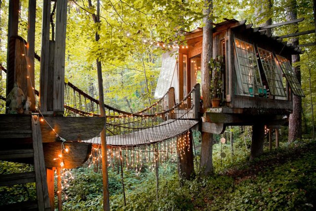 Secluded Treehouse - green holiday rental 2