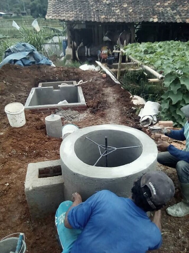 Making Biogas From Cow Manure Steemit