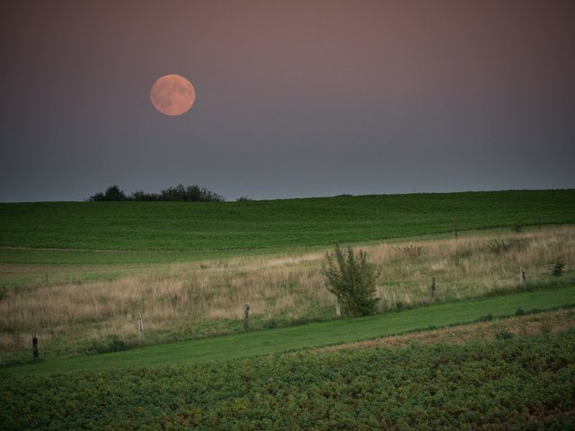  full moon over Flanders