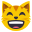 grinning cat face with smiling eyes