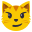 cat face with wry smile