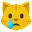 crying cat face