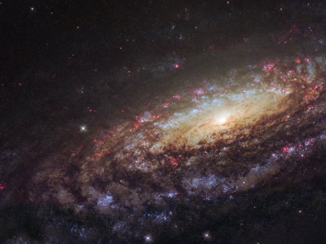 NGC 7331 Close Up