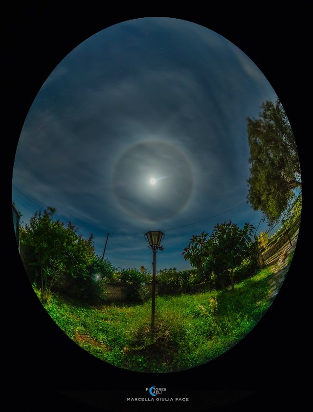 Sandy and the Moon Halo