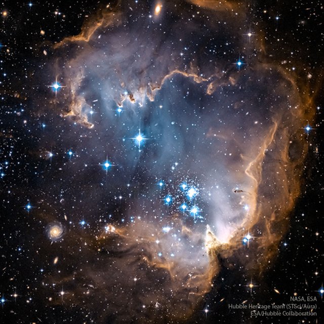 NGC 602: Oyster Star Cluster