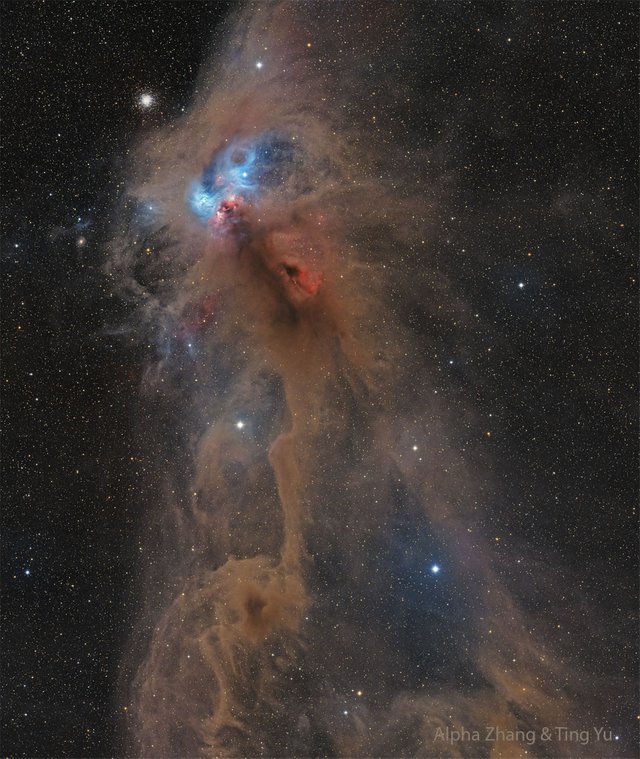 NGC 6727: The Rampaging Baboon Nebula