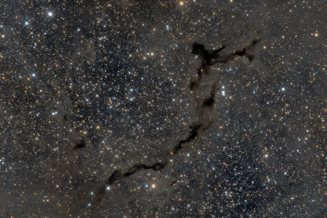 The Dark Seahorse of Cepheus