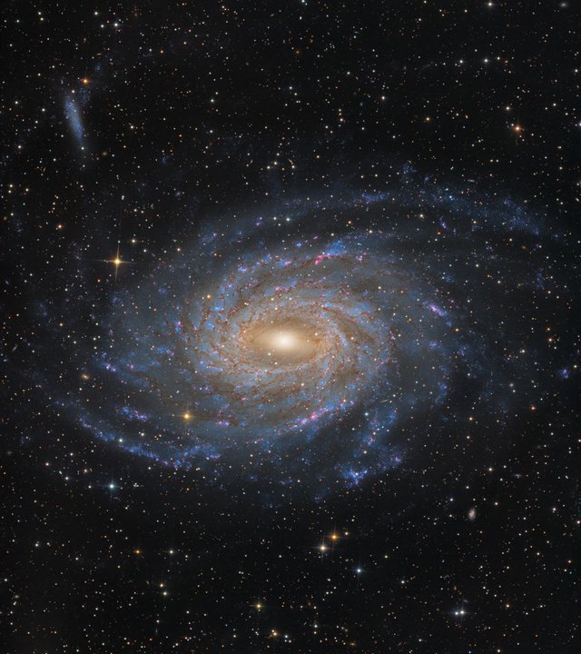 Spiral Galaxy NGC 6744