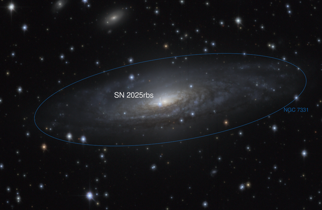 Supernova 2025rbs in NGC 7331