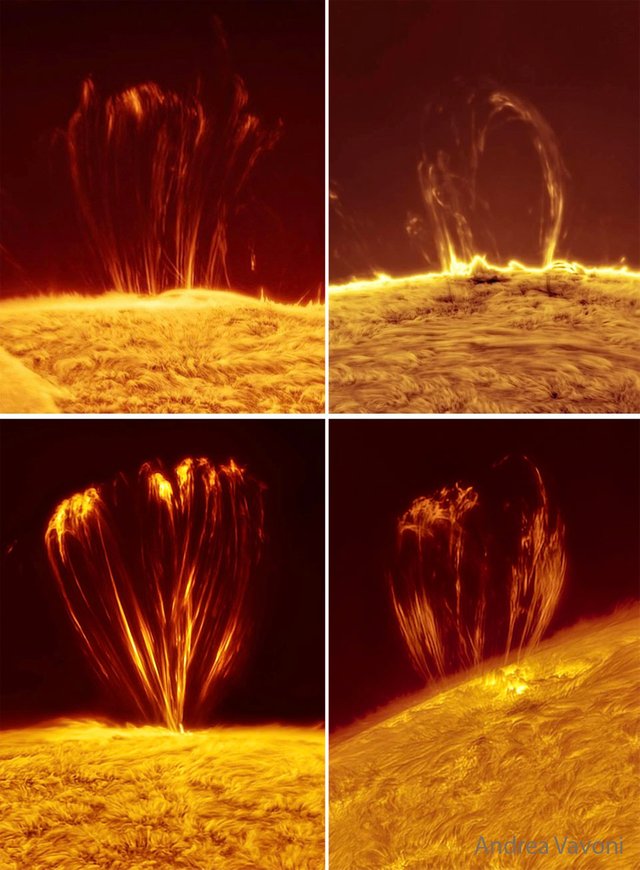 Coronal Loops on the Sun