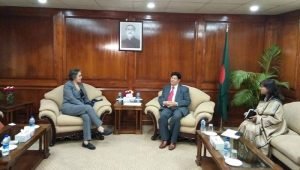 UN_Special_Rapporteur-arakan-post