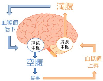 知っ得スパイス情報