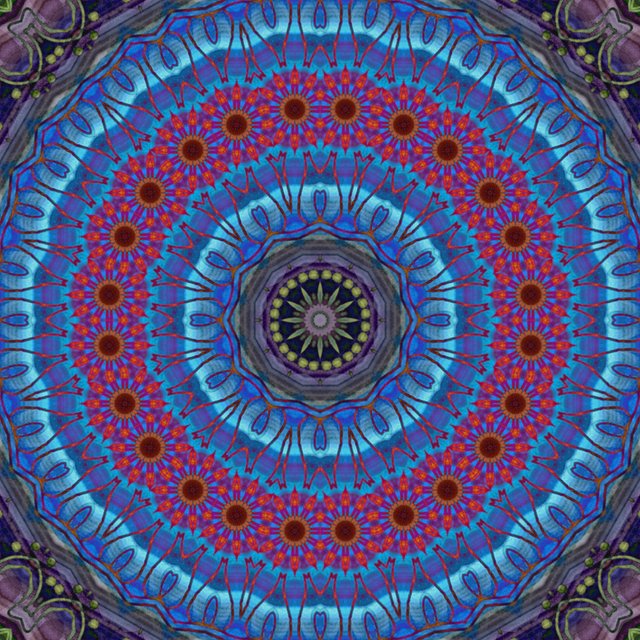 ntopaz-image-6