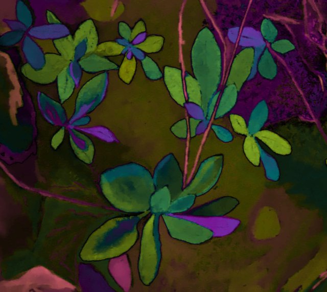 ntopaz-image-4