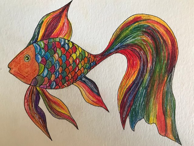 Magic fish. — Steemit