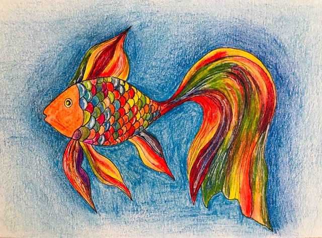 Magic fish. — Steemit