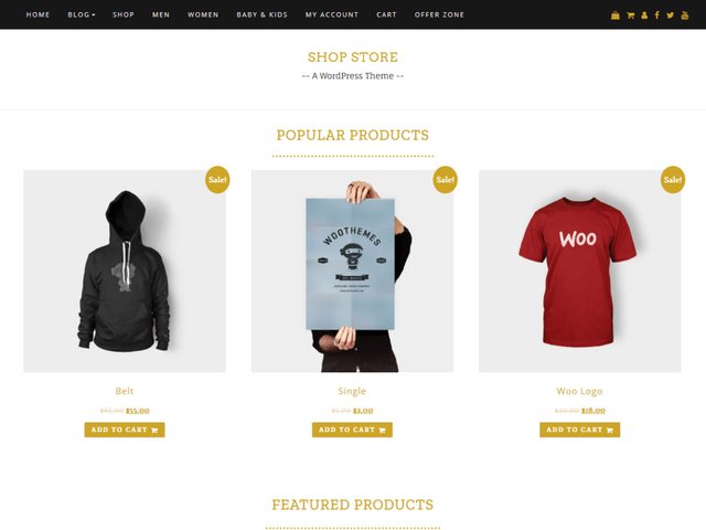 shop-store-wordpress-theme