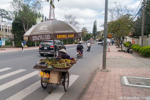 Marchande de fruits ambulante - Dalat.