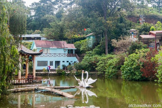 Cam Li Waterfalls - Dalat.